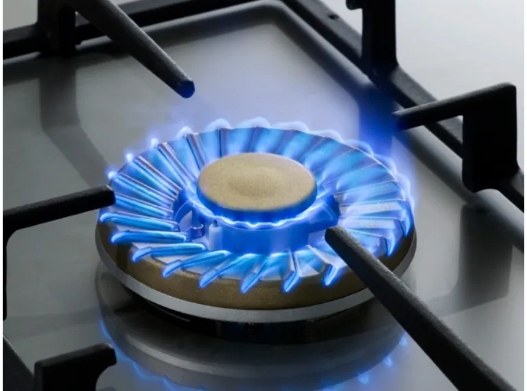 Burners new models for world markets