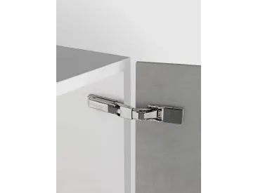 Salice universal hinge