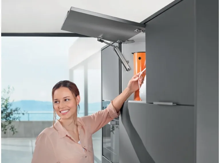 Blum system flap door